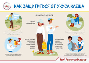 Осторожно клещи! Осторожно клещи!.
